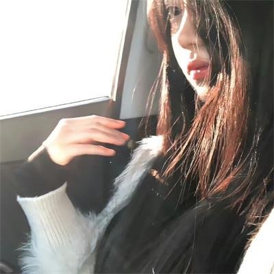 犯罪都市4